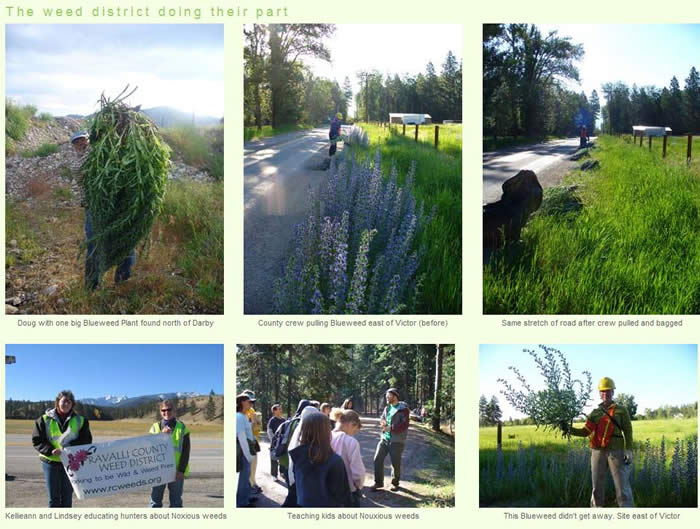 The Weed District Doing Their Part